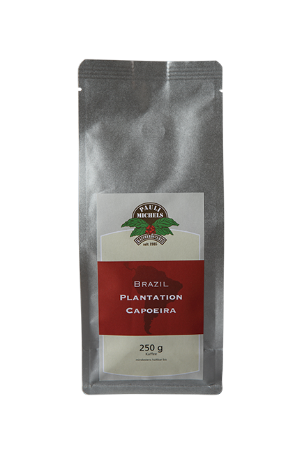 Brazil Plantation Capoeira